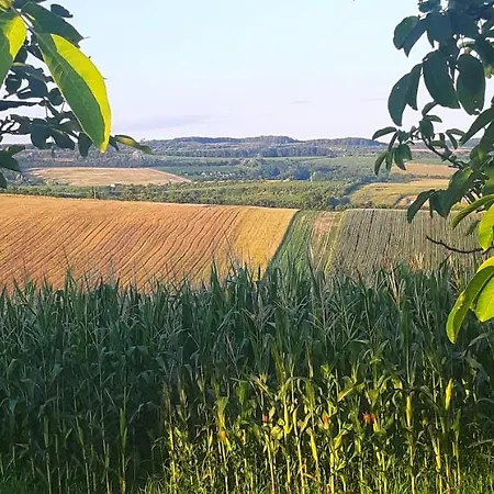 Ubytovani Na Jizni Morave